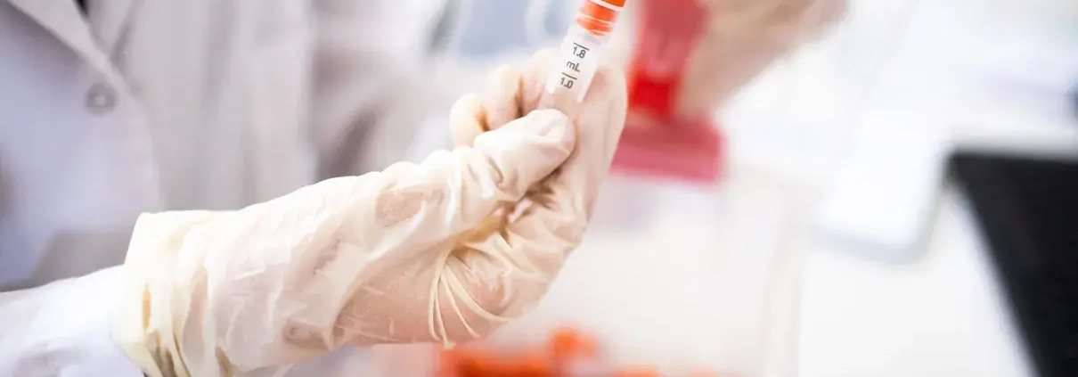 congelar óvulos semen embriones