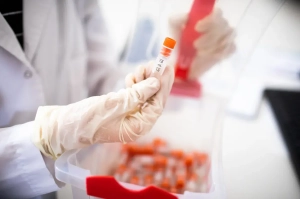 congelar óvulos semen embriones