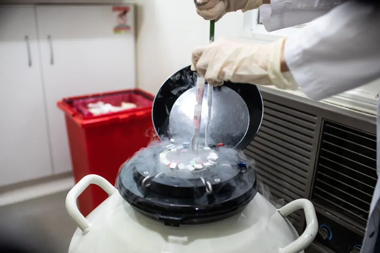 congelar óvulos semen embriones para el futuro