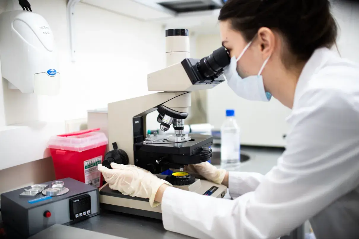 congelar óvulos semen embriones para el futuro