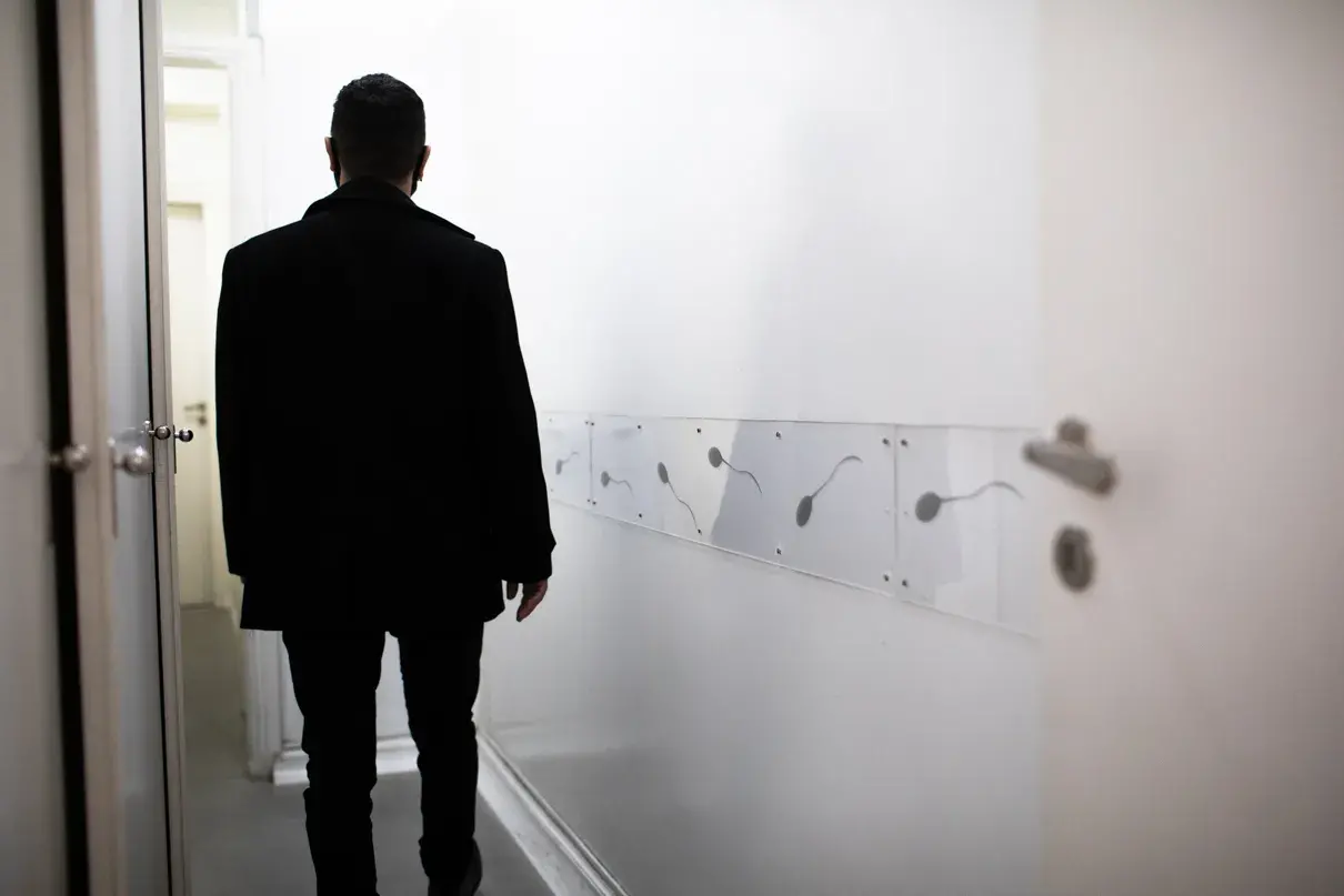 qué dice la ley sobre embriones criopreservados